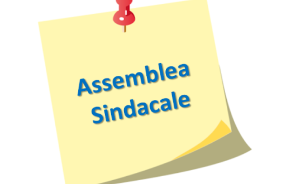 Assemblea sindacale ANIEF per il giorno 15/11/2023