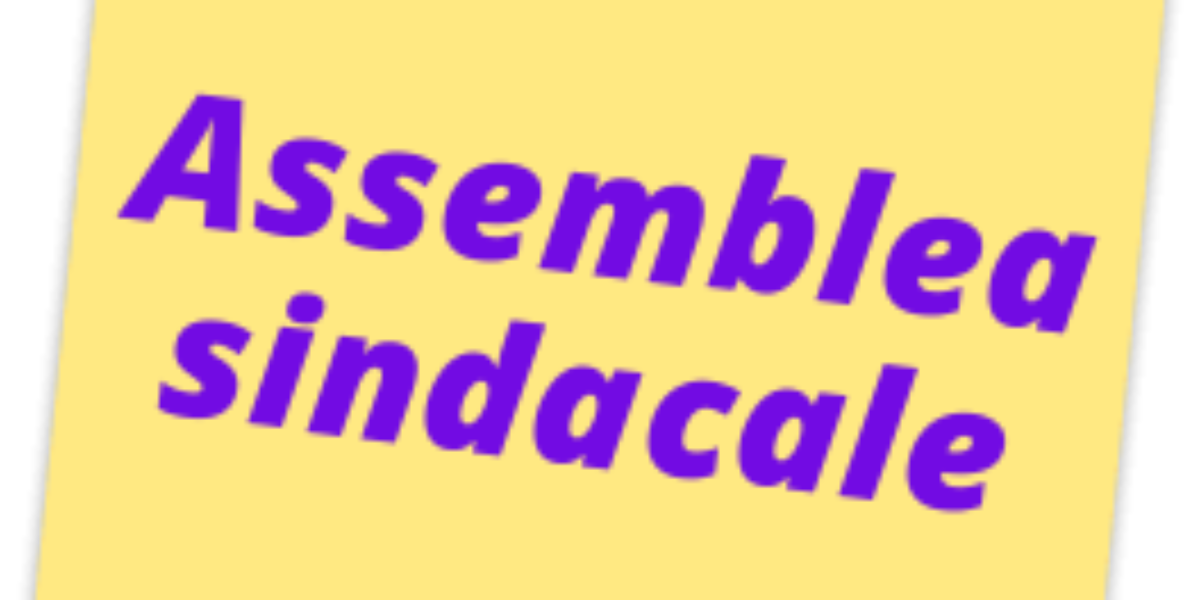 Assemblea sindacale SNALS per il giorno 29/11/2023